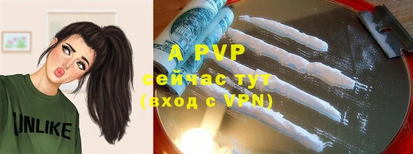 ГАЛЛЮЦИНОГЕННЫЕ ГРИБЫ Кулебаки