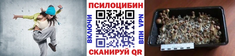 Псилоцибиновые грибы Cubensis  kraken ONION  Чапаевск 