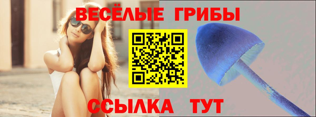Псилоцибиновые грибы Psilocybe  Псилоцибиновые грибы Cubensis  Чапаевск 